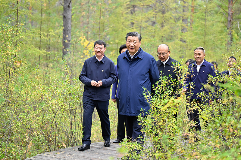 9月6日至8日，中共中央總書記、國家主席、中央軍委主席習近平在黑龍江考察。這是6日下午，習近平在大興安嶺地區(qū)漠河市漠河林場自然林區(qū)考察